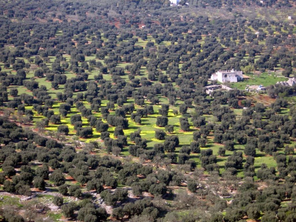 Aparthotel I Trulli Di Acquarossa Cisternino Exteriér fotografie